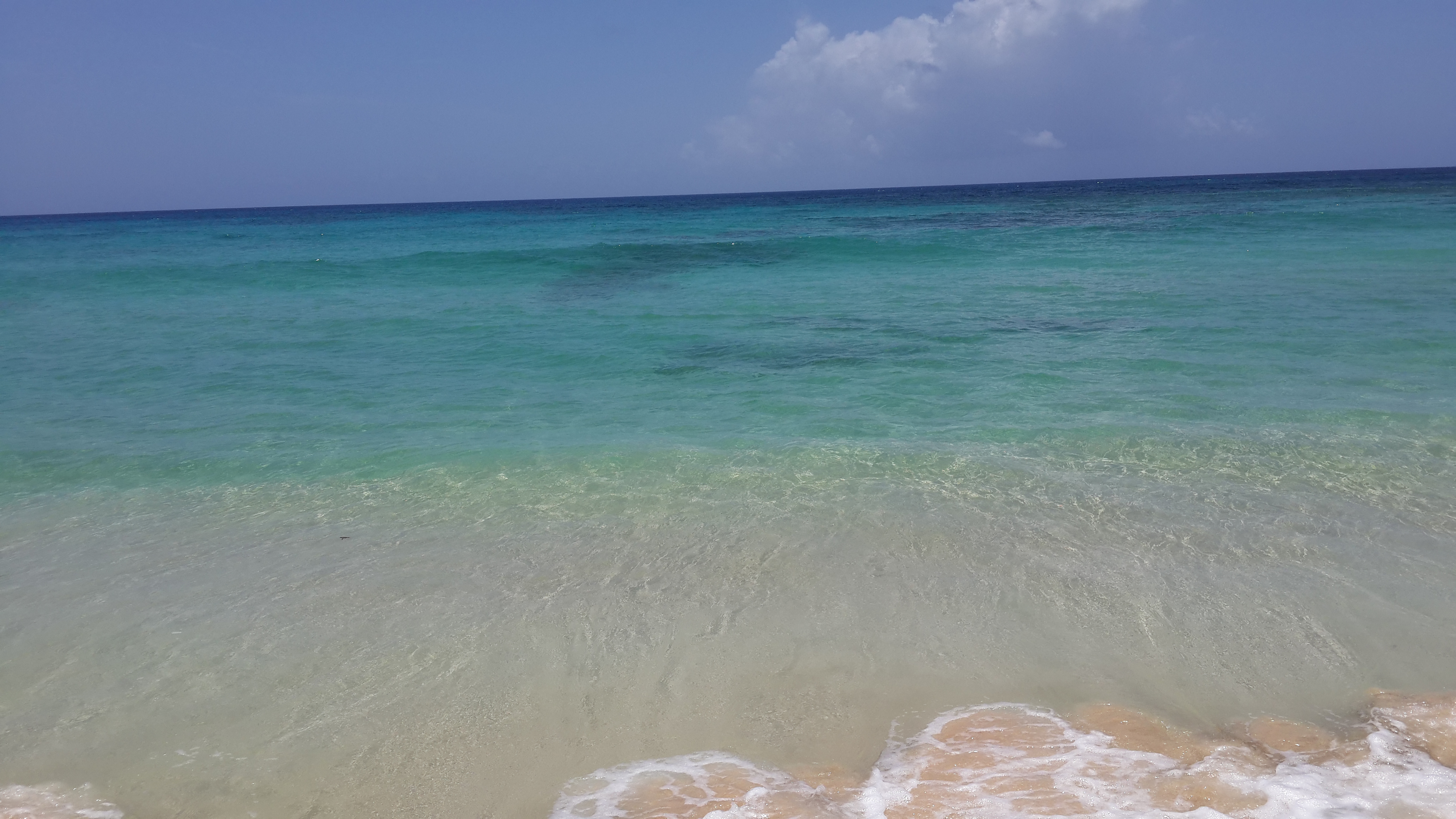 Vista de Playa Grande